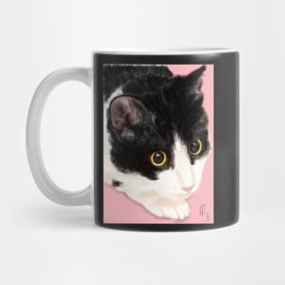 Black and White Cat on a Pink Background Mug